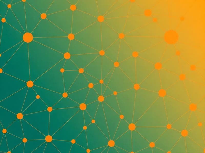 Rally network connectivity pattern